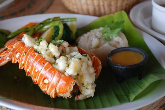 Paprika Mexican & Caribbean Cuisine